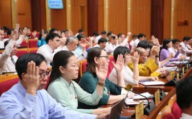 Đại biểu HĐND tỉnh thông qua nghị quyết tại kỳ họp.