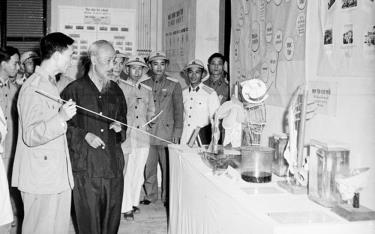 Ảnh trưng bày tại triển lãm.