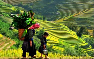 Tiêu chí phân định vùng đồng bào DTTS và miền núi giai đoạn 2026 - 2030 là căn cứ để xác định địa bàn ưu tiên đầu tư, phân bổ nguồn lực công bằng và hiệu quả.