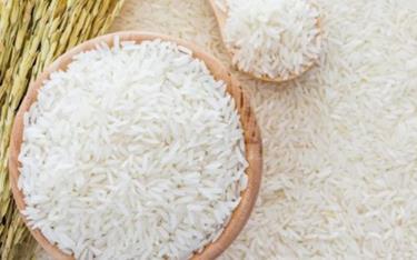 Gạo Việt Nam chinh phục thị trường Senegal.