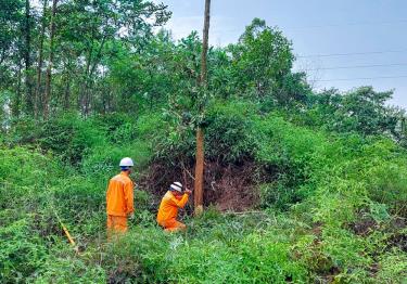 Công nhân Điện lực Trấn trực tuyến m88 chặt, tỉa cây xanh đảm bảo hành lang lưới điện cao áp trên địa bàn quản lý.