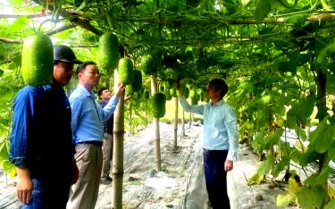 Cán bộ xã Nghĩa Phúc kiểm tra mô hình đem lại hiệu quả kinh tế cao cho nhân dân.