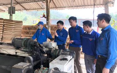 Mô hình sản xuất ván bóc của Hợp tác xã Quốc Việt mang lại thu nhập cao cho các thành viên.