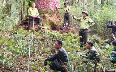 Cán bộ Hạt kiểm lâm huyện Mù Cang Chải thường xuyên tuần tra, bảo vệ rừng