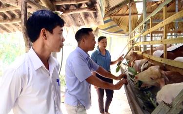 Mô hình chăn nuôi dê tại xã Yên Hợp, huyện Văn Yên