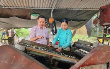 Giám đốc Phòng Giao dịch NHCSXH huyện Lục Yên - Dương Quốc Tuấn trực tiếp kiểm tra và đánh giá hiệu quả của các mô hình kinh tế được đầu tư từ nguồn vốn tín dụng chính sách.