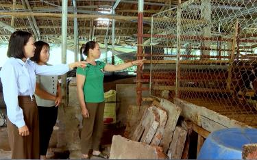 Chị Vũ Thị Phượng (ngoài cùng bên phải) giới thiệu hệ thống chuồng nuôi dê của gia đình.