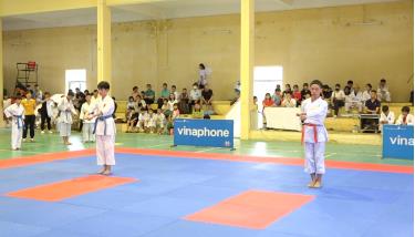 VĐV thi đấu nội dung Kata môn võ Karate.