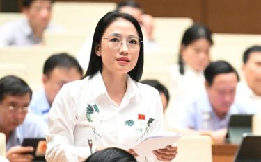 Đại biểu Trần Khánh Thu (Đoàn Thái Bình).