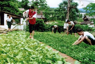 Lực lượng vũ trang huyện Trạm Tấu tăng gia cải thiện bữa ăn hàng ngày.
