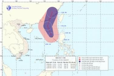 Hình ảnh đường đi của cơn bão số 1.