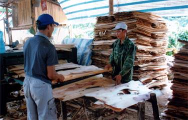 Nhiều cơ sở sản xuất chế biến gỗ rừng trồng trên địa bàn thành phố Yên Bái đã góp phần tạo việc làm cho lao động địa phương.
