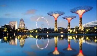 Một góc vườn Bay South Garden thuộc dự án Gardens by the Bay.
