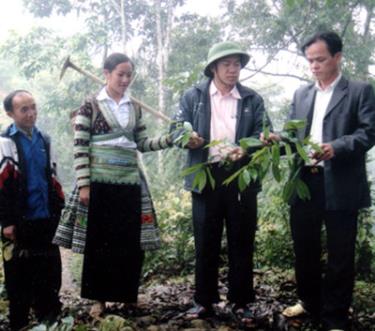 Lãnh đạo xã Pá Lau trao đổi với nhân dân về những cây gỗ quý hiếm cần được trồng và bảo vệ.