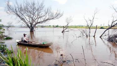 Thượng nguồn thủy điện An Khê - Ka Nak tích nước gây ngập đất canh tác của người dân tại thị xã An Khê, đặc biệt vào mùa mưa