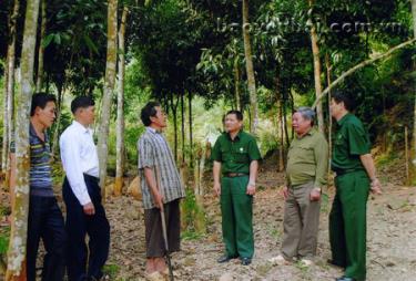 Ông Mùa A Sử (thứ 3 trái sang) giới thiệu mô hình trồng rừng, phát triển kinh tế của gia đình.