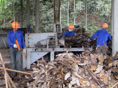 Công nhân Nhà máy Chế biến tinh dầu quế Đại Thành xã Đông Cuông (Văn Yên) luôn đảm bảo an toàn lao động.