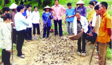 Nhiều lao động nông thôn có nhu cầu học nghề thực sự để phát triển kinh tế gia đình. (Ảnh: Lao động nông thôn tham gia lớp học kỹ thuật trồng rau an toàn tại huyện Văn Chấn).