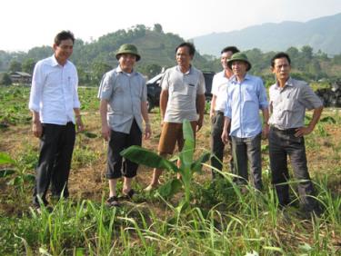 Đồng chí Trần Thế Hùng (thứ 2, trái sang) và lãnh đạo xã Đông An thăm mô hình trồng chuối tiêu hồng ở thôn Trung Tâm.
