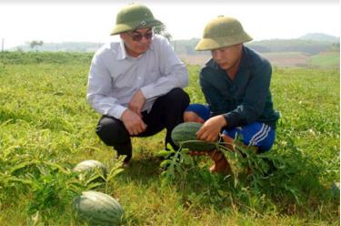 Ông Hoàng Phượng Vỹ - Chủ tịch UBND xã Xuân Lai (bên trái) trao đổi với người dân trồng dưa hấu trên đất bán ngập.
