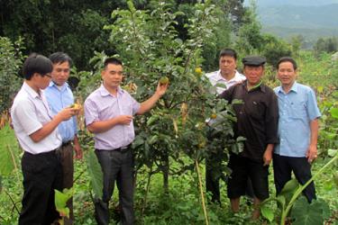 Cán bộ Sở Khoa học và Công nghệ nghiệm thu Dự án tại hộ ông Thào A Của, xã Nậm Khắt, Mù Cang Chải.