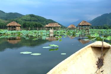 Một thoáng đầm sen Vân Hội.