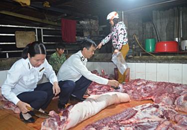 Cán bộ Trạm Chăn nuôi và Thú y huyện Văn Chấn kiểm soát giết mổ động vật tại thị trấn Nông trường Nghĩa Lộ.