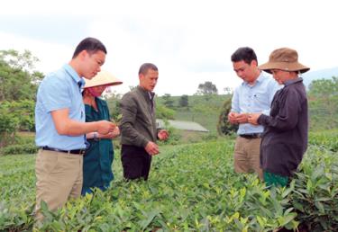 Từ năm 2013 đến nay, huyện Văn Chấn đã luân chuyển 29 lượt cán bộ, công chức. (Ảnh minh hoạ)