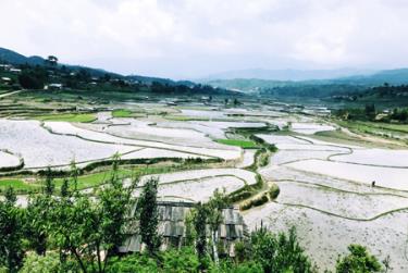 Từ khung cửa sổ phóng tầm mắt ra xa cánh đồng Nậm Khắt đang mùa nước đổ đẹp say đắm lòng người.