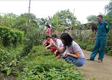 Những tuyến đường sau khi bê tông hóa, được chị em phụ nữ xã Mai Sơn tô điểm bằng trồng các loài hoa.