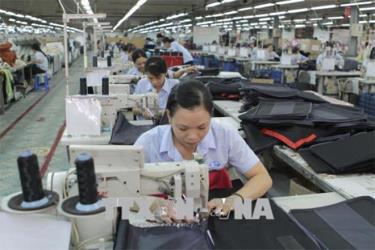 May xuất khẩu tại Công ty CP Sản xuất Kinh doanh Xuất nhập khẩu Bình Thạnh (Gilimex), TP Hồ Chí Minh.