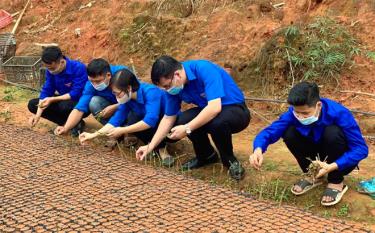 Lãnh đạo Tỉnh đoàn, Huyện đoàn Trấn Yên và các đoàn viên thanh niên tham gia ươm cây giống tại thôn Cà Nộc để trao tặng thôn Khuôn Bổ trồng tạo cảnh quan môi trường du lịch.