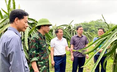 Đồng chí An Hoàng Linh - Bí thư Huyện ủy Yên Bình (thứ 2 từ phải sang) nắm tình hình phát triển kinh tế ở cơ sở.