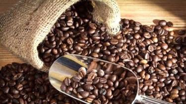 Caffeine có tác dụng chống lại khối u ác tính.