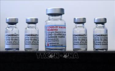 Vaccine ngừa COVID-19 của Pfizer/BionTech và Moderna. Ảnh: AFP/TTXVN