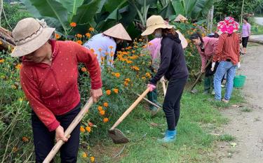 Hội Liên hiệp Phụ nữ xã Yên Phú vệ sinh đường làng, ngõ xóm.