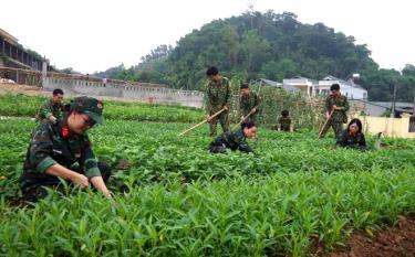 Khu tăng gia cơ quan Bộ Chỉ Quân sự tỉnh.