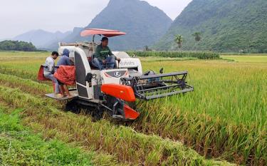 Nông dân xã Tân Lĩnh đưa cơ giới hóa vào sản xuất. (Ảnh: Văn Tuấn)