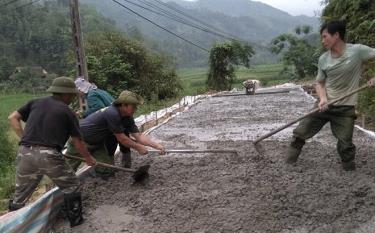 Hội viên Hội Cựu chiến binh huyện Văn Chấn tham gia bê tông hóa đường giao thông nông thôn. 
