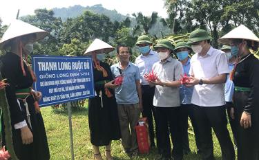 Đồng chí Bí thư Tỉnh ủy Đỗ Đức Duy cùng đoàn công tác của tỉnh kiểm tra năng suất, chất lượng giống Thanh long ruột đỏ tại các xã vùng Đông hồ, huyện Yên Bình.