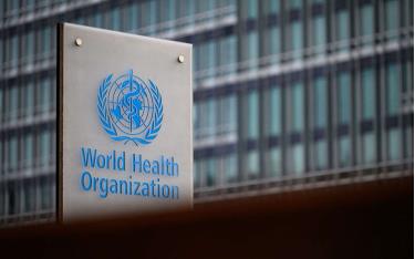 WHO xác nhận trường hợp tử vong đầu tiên ở người vì cúm gia cầm H5N2.