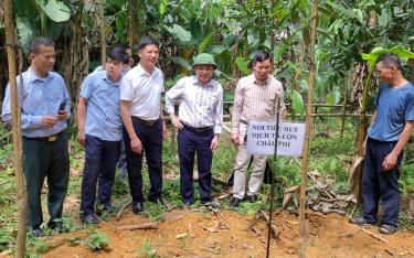 Lãnh đạo Chi cục Chăn nuôi và Thú y tỉnh kiểm tra việc thực hiện các biện pháp phòng, chống dịch tả lợn châu Phi tại xã Lâm Thượng, huyện Lục Yên.