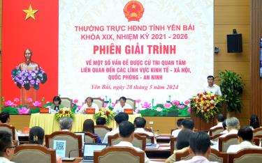 Lãnh đạo Sở Tài nguyên và Môi trường giải trình một số vấn đề liên quan công tác quản lý tài nguyên và môi trường mà các đại biểu và cử ttri quan tâm.