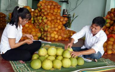 Người dân xã Đại Minh, huyện Yên Bình dán tem cho sản phẩm bưởi trước khi đưa lên sàn thương mại điện tử.