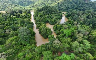Vườn Quốc gia Cát Tiên đạt danh hiệu Danh lục Xanh IUCN.