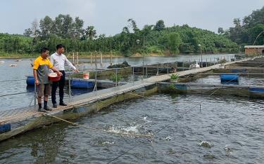 Ông Lưu Văn Luận (bên trái) chăm sóc lồng cá nuôi trên hồ.