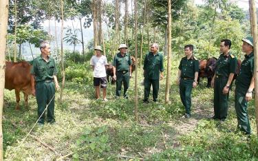 Cựu chiến binh Hoàng Ngọc Đề (ngoài cùng, bên trái) chia sẻ về mô hình chăn nuôi đại gia súc với lãnh đạo Hội CCB huyện Yên Bình.