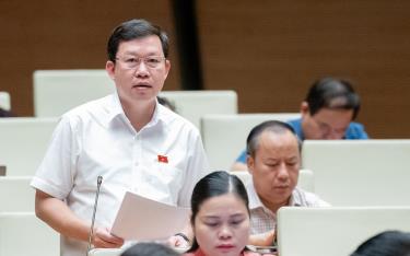 Phó trưởng đoàn Đại biểu Quốc hội tỉnh Yên Bái Nguyễn Quốc Luận phát biểu thảo luận ở hội trường chiều 28/6.