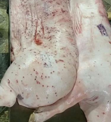Thông tin tuồn thịt bẩn ra thị trường được lan truyền trên mạng xã hội.