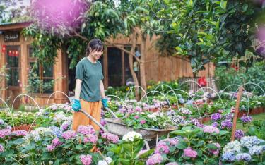 Các cơ sở du lịch trên địa bàn tỉnh tập trung tạo cảnh quan môi trường xanh, sạch, đẹp để thu hút du khách mùa hè này.